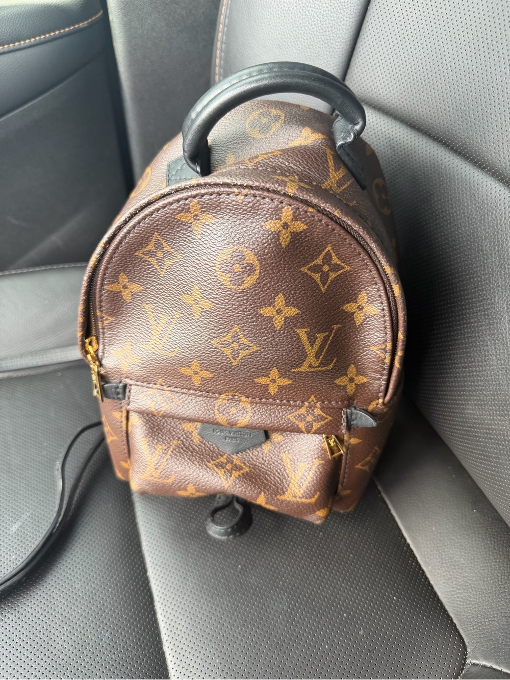 Palm Springs mini backpack